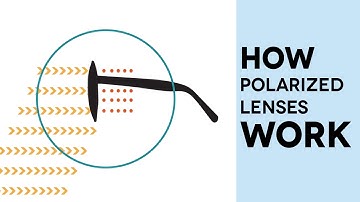 How Polarized Lenses Work