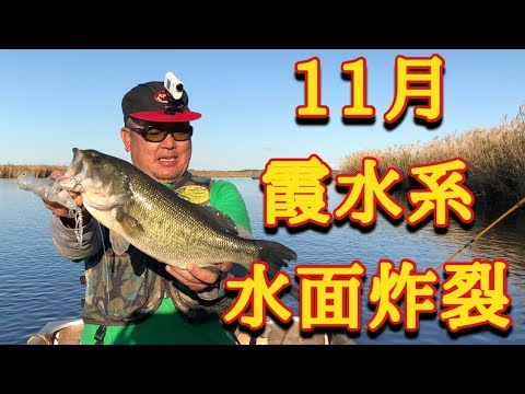 10月の亀山ダム トップウォーター バス釣り ラインスラック Youtube