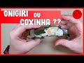 Onigiri ou Coxinha??