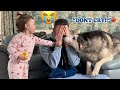 Adorable Baby &amp; Husky Do Everything They Can To Stop Dad From Crying!😭💔. [CUTEST VIDEO EVER!!]