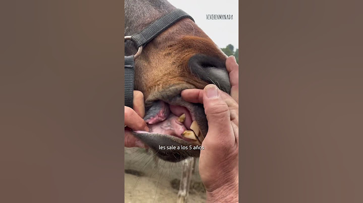 ¿Es potro o caballo?🐴 #vivirenmanada