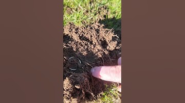 Would You Dig It? n°1 - ANSWER - Did you find the right answer? #metaldetecting #metaldetector
