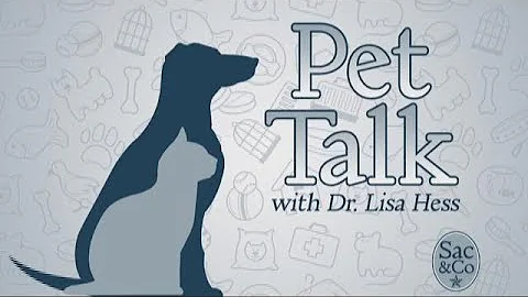 Sac&Co: Pet Talk with Dr. Lisa Hess