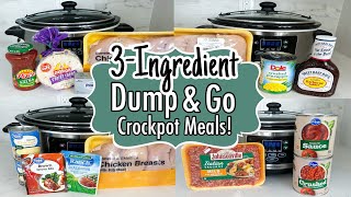 6 DUMP & GO CROCKPOT DINNERS | The EASIEST 3Ingredient Slow Cooker Recipes! | Julia Pacheco