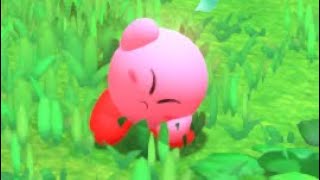 Unused Emotes in Kirby and The Forgotten Land