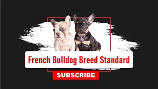 French Bulldog Breed Standard  | Frenchieshub