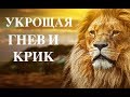 УКРОЩАЯ ГНЕВ И КРИК  -  Вячеслав Бойнецкий