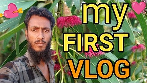 MY FIRST VLOG ❤️ || Weldon Viraa Vlogs@RktarikKhan