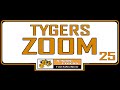 Junior Tygers Taekwondo Zoom class  25