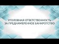 Уголовная ответственность за преднамеренное банкротство: новая реальность. Советы адвоката.