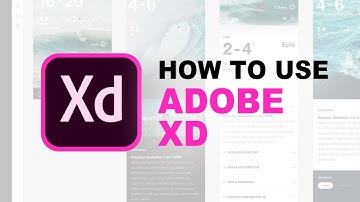 How to use Adobe XD | QUICK TUTORIAL