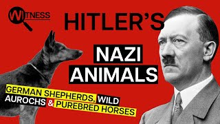 Dogs, Horses, and Nazis | Hitler's Nazi Creatures: WW2 History Documentary