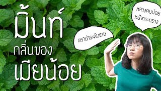 ดราม่าระดับเทพ: มิ้นท์ กลิ่นของเมียน้อย | Point of View