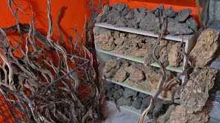 Akvaryum Vlog Kökler Ve Kayalar Geldi