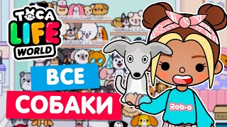 СОБРАЛА ВСЕХ СОБАК в Тока Бока! 🐩 Toca Life World