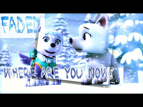 [ Where are you now? ] FADED | Paw Patrol mv❄️