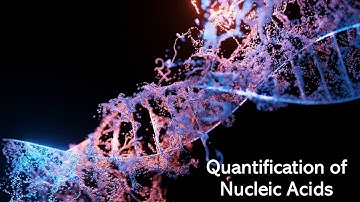 Quantification of Nucleic Acids: A260/A280 ratio, Nucleic Acid Concentration, Purity and Molarity