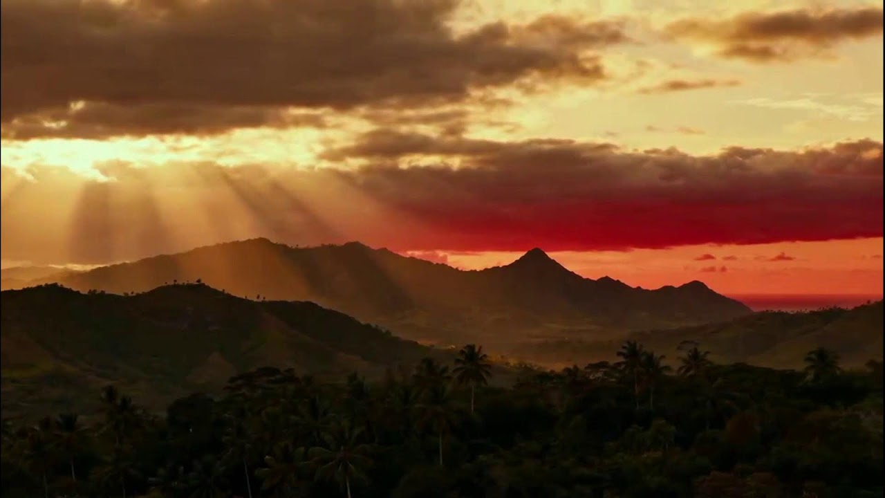 Reggae Sunset Sessions | Evening Groove 2025 🌇