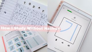 How I study Korean Japanese and Chinese without natives| Study with me :)