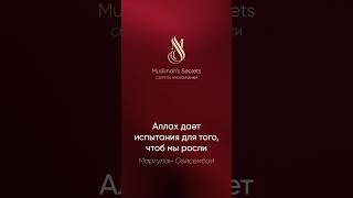 Зачем Аллах испытывает человека? / Почему Аллах посылает нам испытания? #мудростьислама #ислам