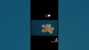 #القرآن_الكريم #سورة_الروم #سعد_الغامدي