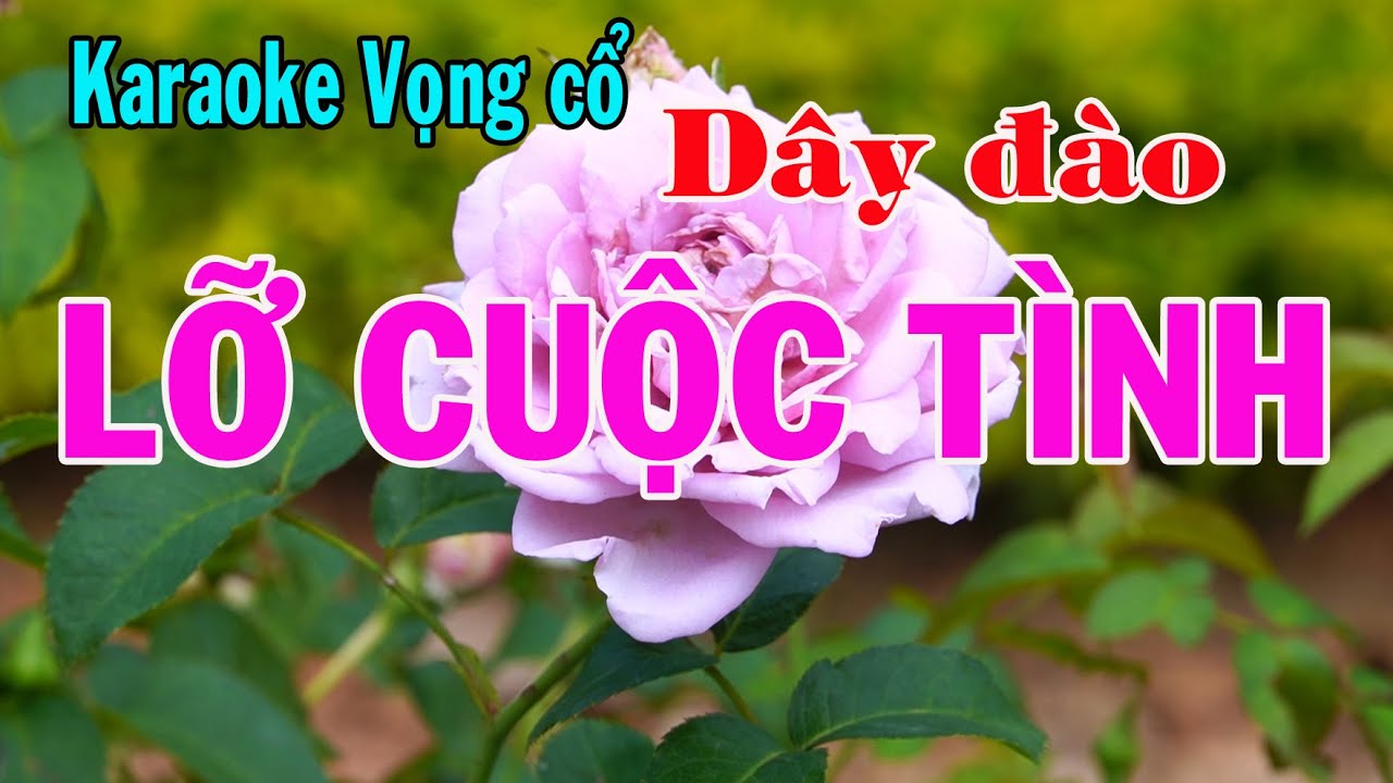 Karaoke vọng cổ LỠ CUỘC TÌNH - DÂY ĐÀO