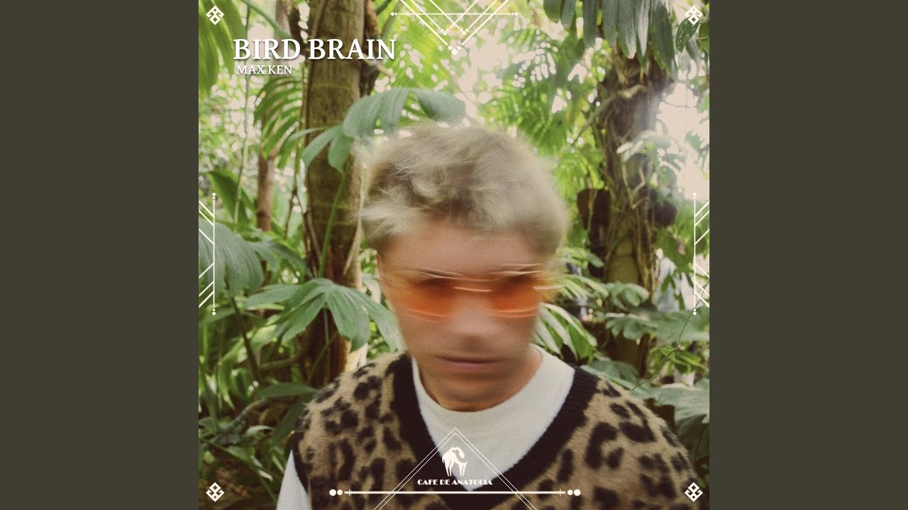 Bird Brain auf YouTube ansehen Bird Brain auf YouTube ansehen