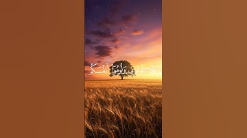 وقال الشيطان لما قضي الأمر سورة إبراهيم القارئ المنشاوي