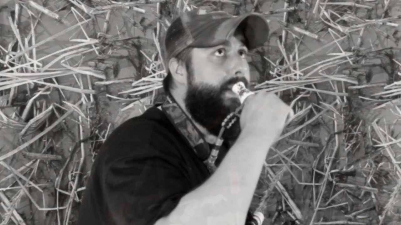 Toxic Calls Feed Chatter