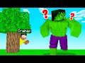 DON'T Let The HULK Find You In MINECRAFT! (Hide & Seek)