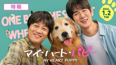 映画『マイ・ハート・パピー』 特報30秒