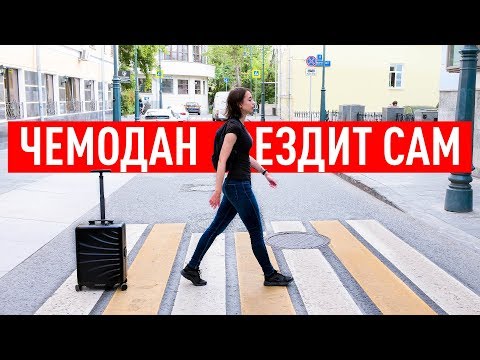 Самоходный умный чемодан за 100 000р.