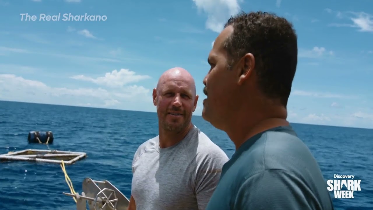 Film backdrop image for Shark Diving In The Solomon Islands (2024)