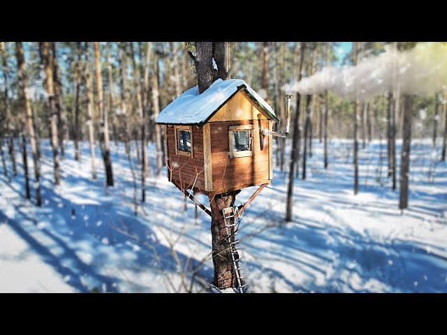 I Built A Cozy TREE HOUSE And I live ln lt COVERED WITH SNOW class=