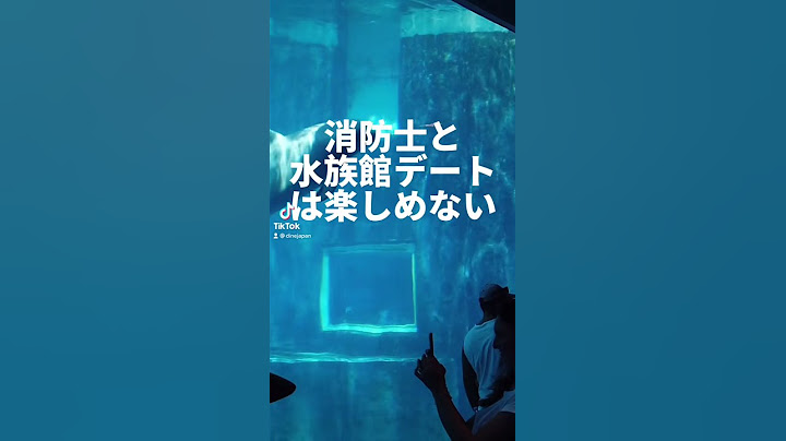 【水族館デート】なぜ、楽しめないのか？#マッチングアプリ #ダイン #Dine