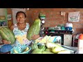 MARIA SORRIDENTE E SUA SAFRA DE MELÃO E O LANCHE DA MANHA FOI BOM DEMAIS