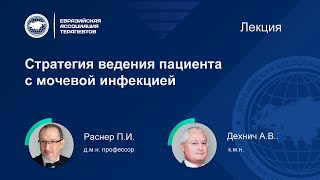 Лекция для терапевтов: Стратегия ведения пациента с мочевой инфекцией