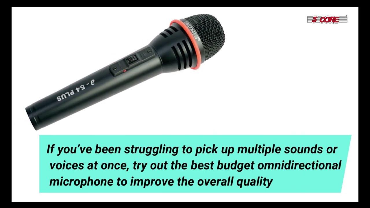 Best Karaoke Microphone In 2023 Top Budget XLR Cardiod Vocal
