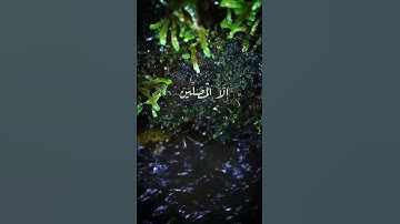 تلاوة رهيبة خشوع وهدوء وطمأنينة وسكينة أرح سمعك 🎧#الـقارئ_حمزة_بوديب🌧💙