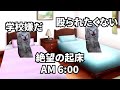 長崎の自称進学校の1日【猫ミーム】 #猫ミーム