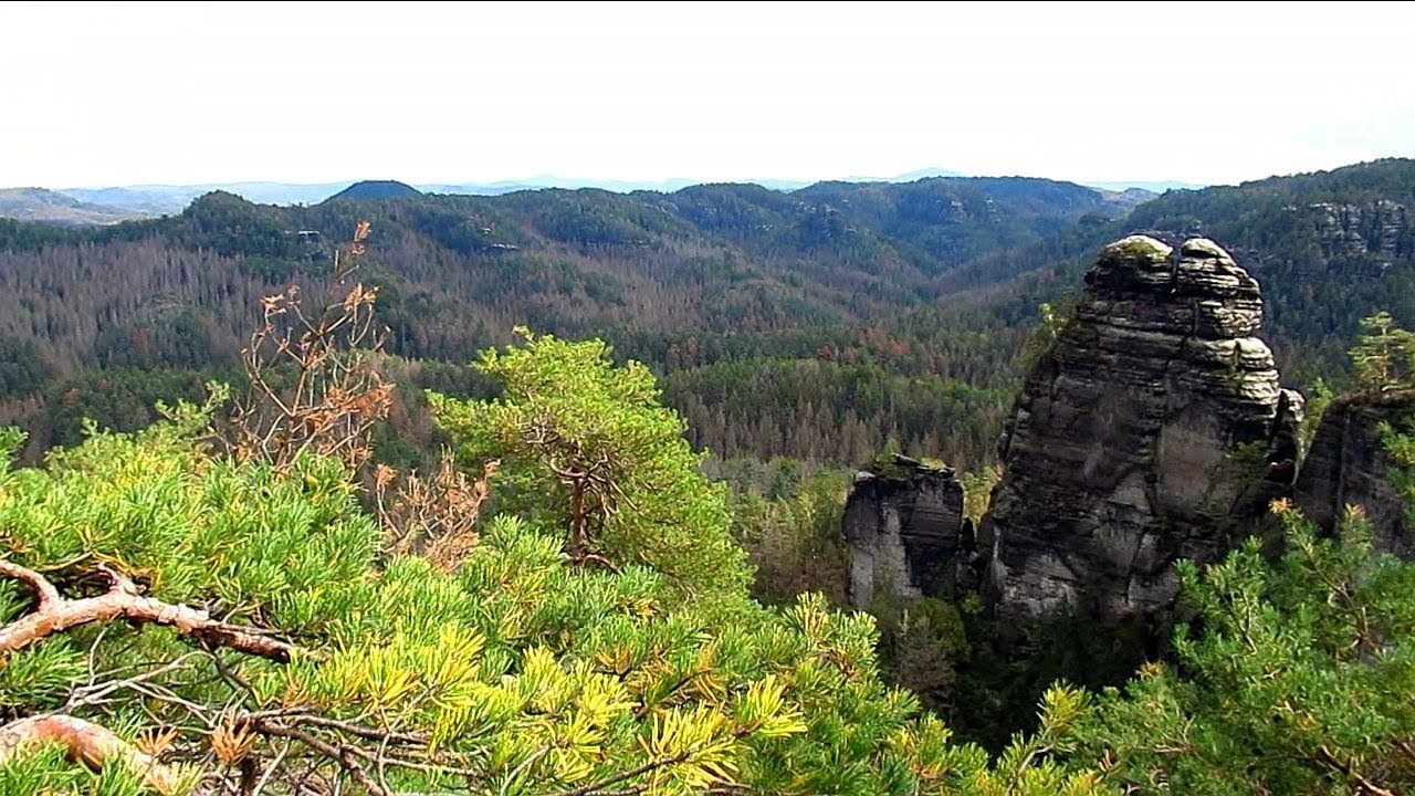 Am Goldsteig im Großen Zschand / Sächsische Schweiz