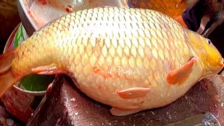 Amazing Huge Golden Carp Fish Cutting Skills In Fish Market With Huge Eggs