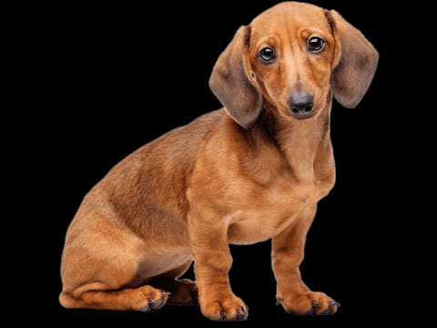 Can end up being a. Federal disaster response agency. Just imagine перевод. To end up. End up.