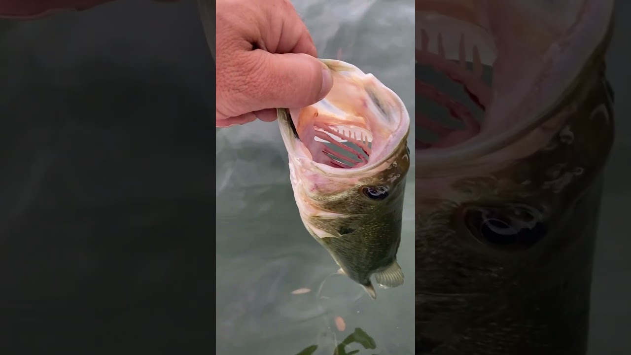 Perfect in every way she can be. 