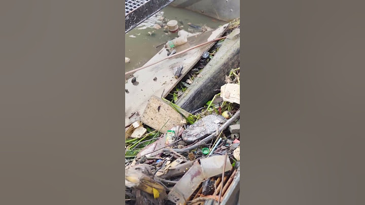 Otters returning to one of Malaysia’s most polluted rivers #shorts