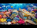 Ocean 4K - The Ultimate 4K Aquarium Voyage, Sea Animals &amp; Coral Reefs with Relaxing Music #3