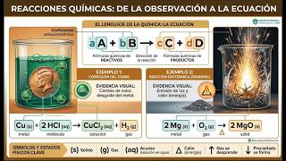 TOPIC 4. CHEMICAL REACTIONS | 1. REACTIONS AND CHEMICAL EQUATION