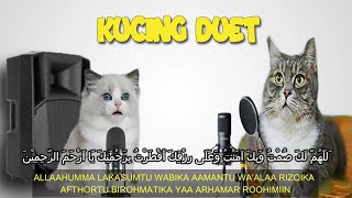 KUCING DUET !! Niat Puasa Ramadhan Dan Doa Buka Puasa Versi Kucing