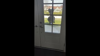 772 Northampton St NE video tour