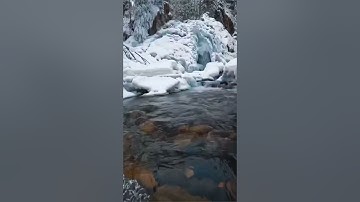 القارئ محمد اللحيدان ما تيسر من سوره (إبراهيم)